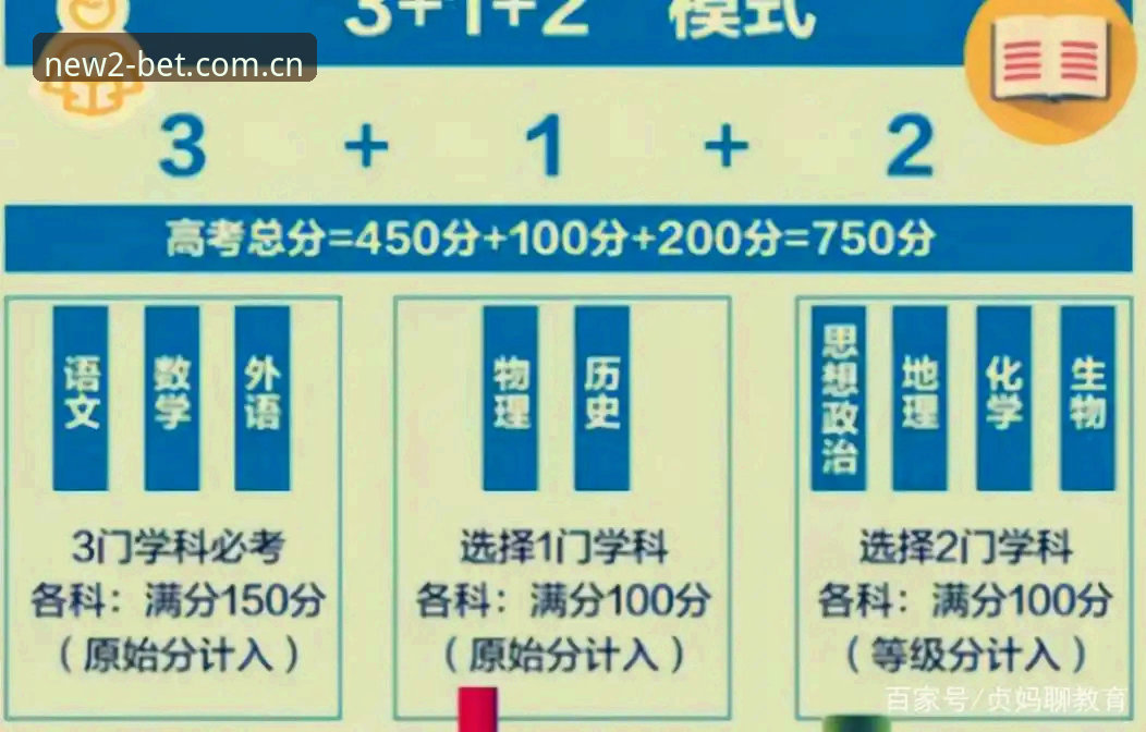 新2登录入口全面评测：从注册流程到安全性的深度分析